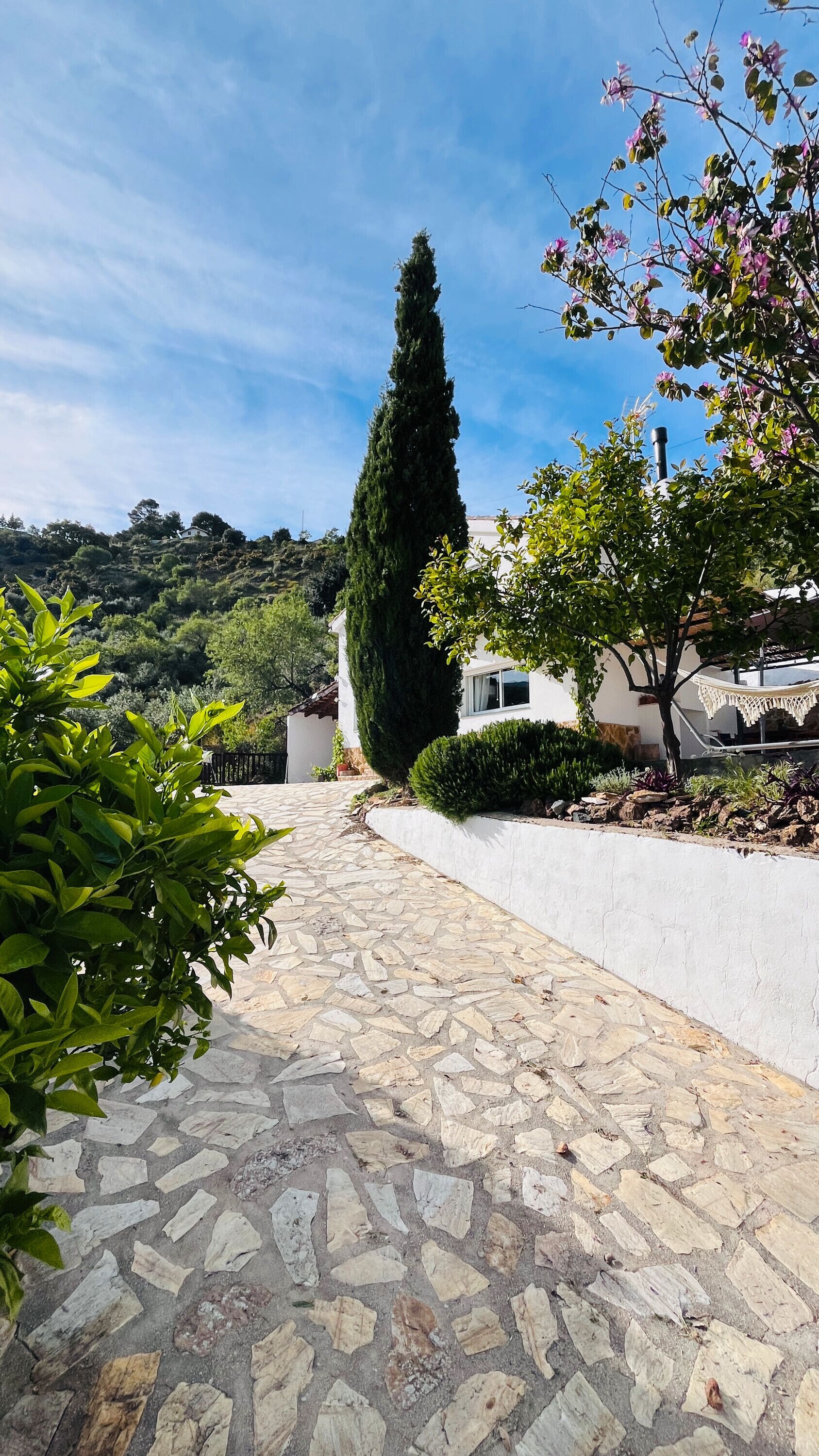 Áreas de la propiedad