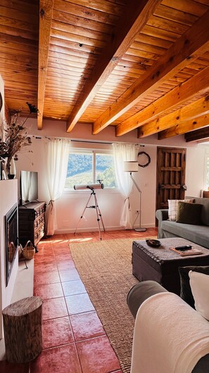 Télévision, cheminée