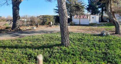 Air-conditioned house +garden +beach