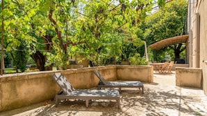 Un espace extérieur aménagé, abrité et doté de chaises longues, d’un mur en béton et d’une pergola couverte de plantes grimpantes.