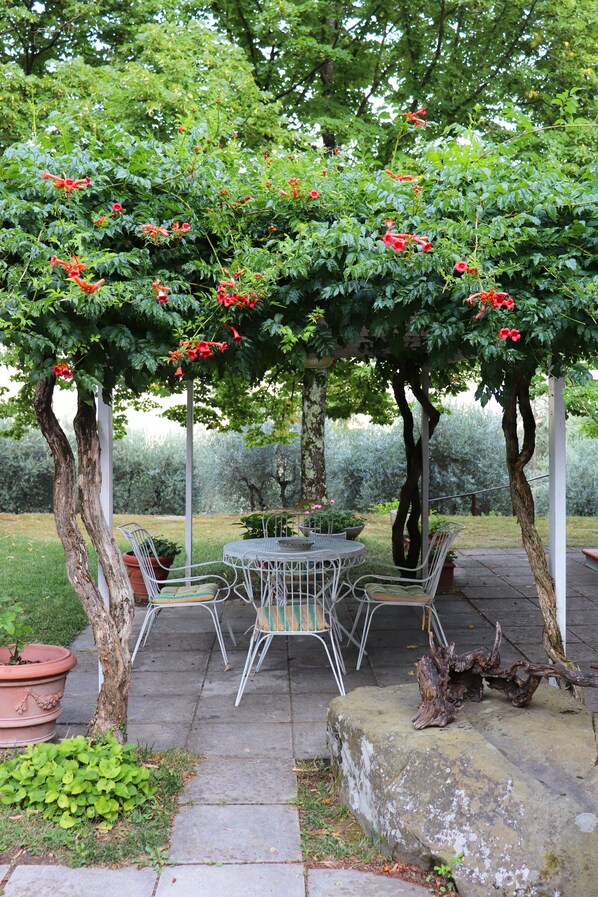 An outdoor seating area with a table and chairs under a tree canopy, surrounded by greenery.