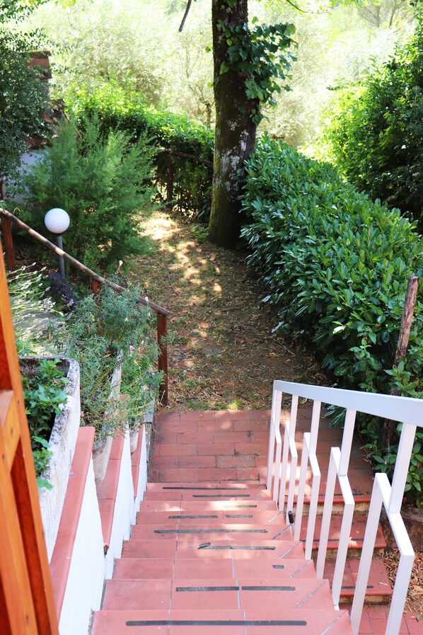 A set of outdoor stairs leading to a garden area with a wooden fence and greenery.