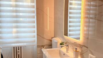 Shower, hair dryer, bidet, towels