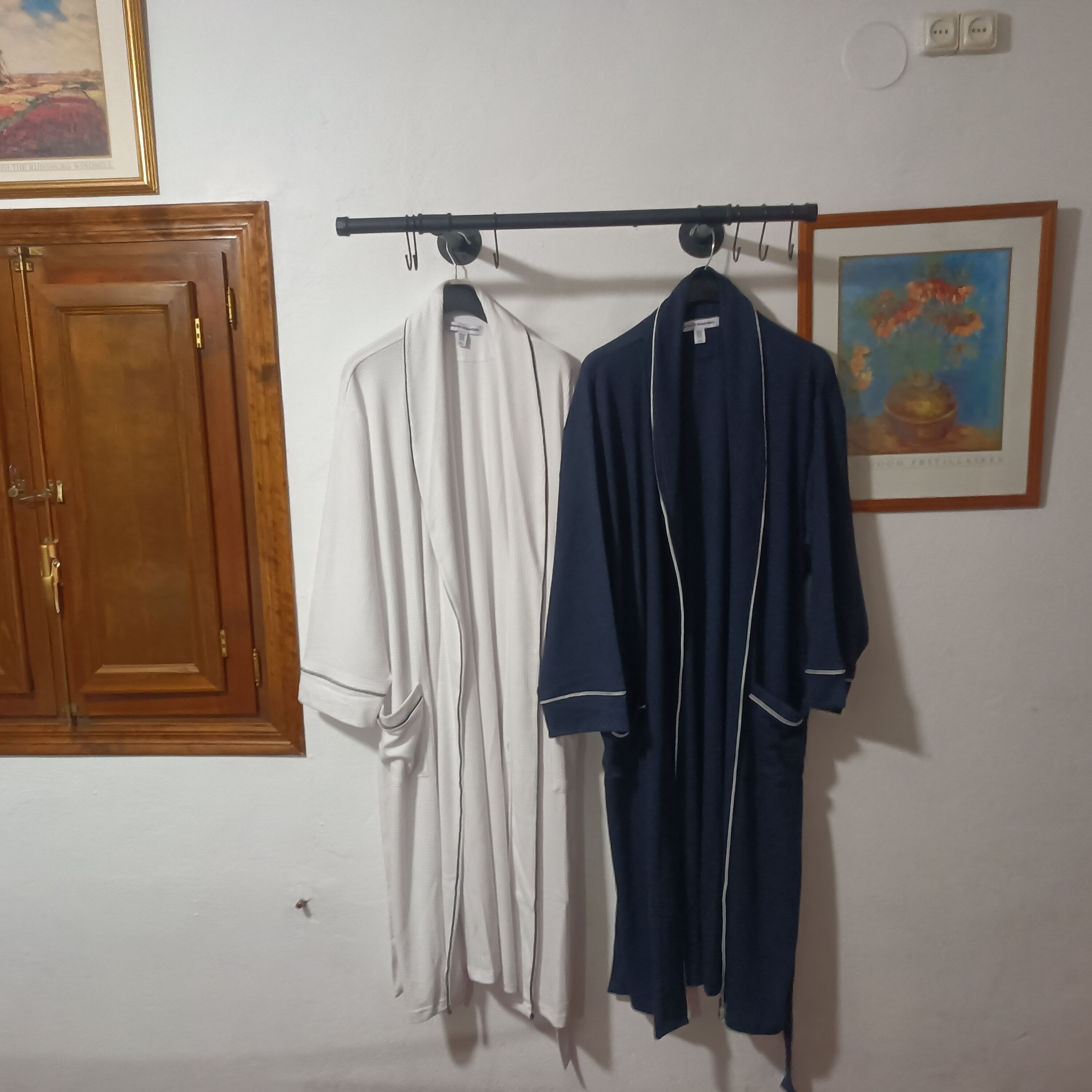 Une pièce comprenant une armoire en bois, un portant à vêtements avec deux robes, et un tableau encadré accroché au mur.