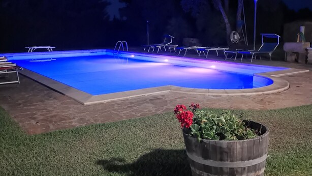 A swimming pool with a blue-lit edge, surrounded by a grassy area and a wooden planter with red flowers.