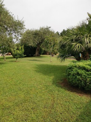 Área da propriedade