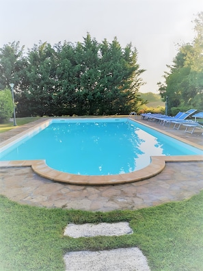 Ein rechteckiger Pool mit einer gefliesten Kante, umgeben von einer Steindeck und mit dichtem Grün im Hintergrund.