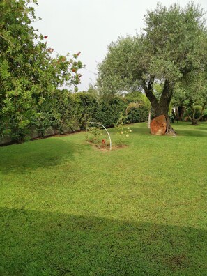 Ein gepflegter Rasen mit einem großen Baum und einer weißen Bogenkonstruktion.
