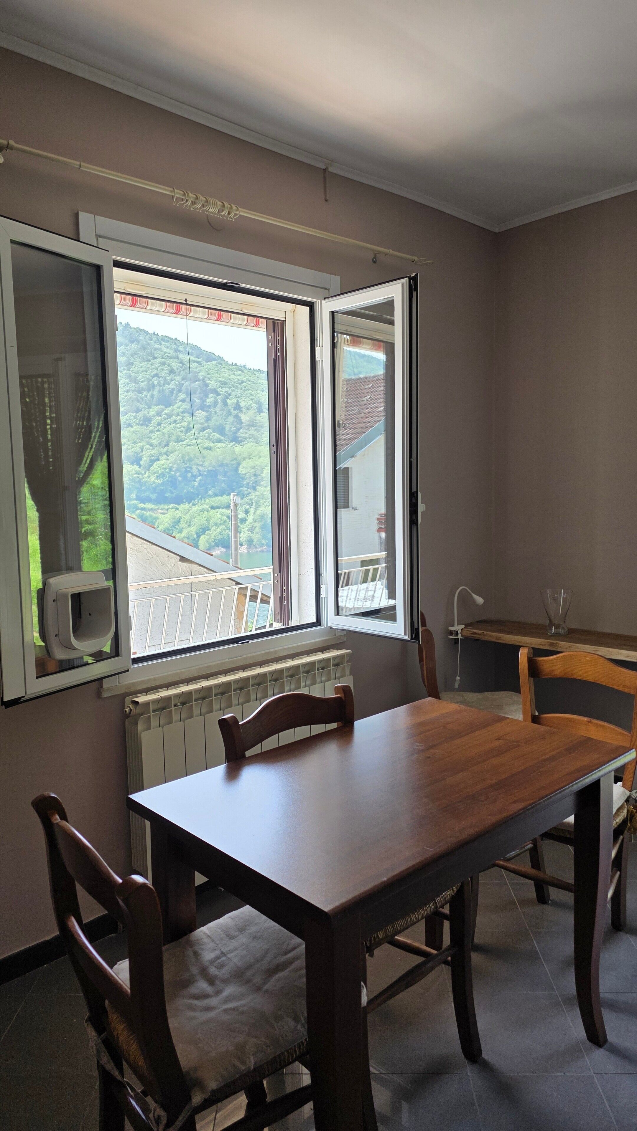 Een kamer met een eettafel, stoelen, een radiator en een raam met uitzicht op een groen landschap.