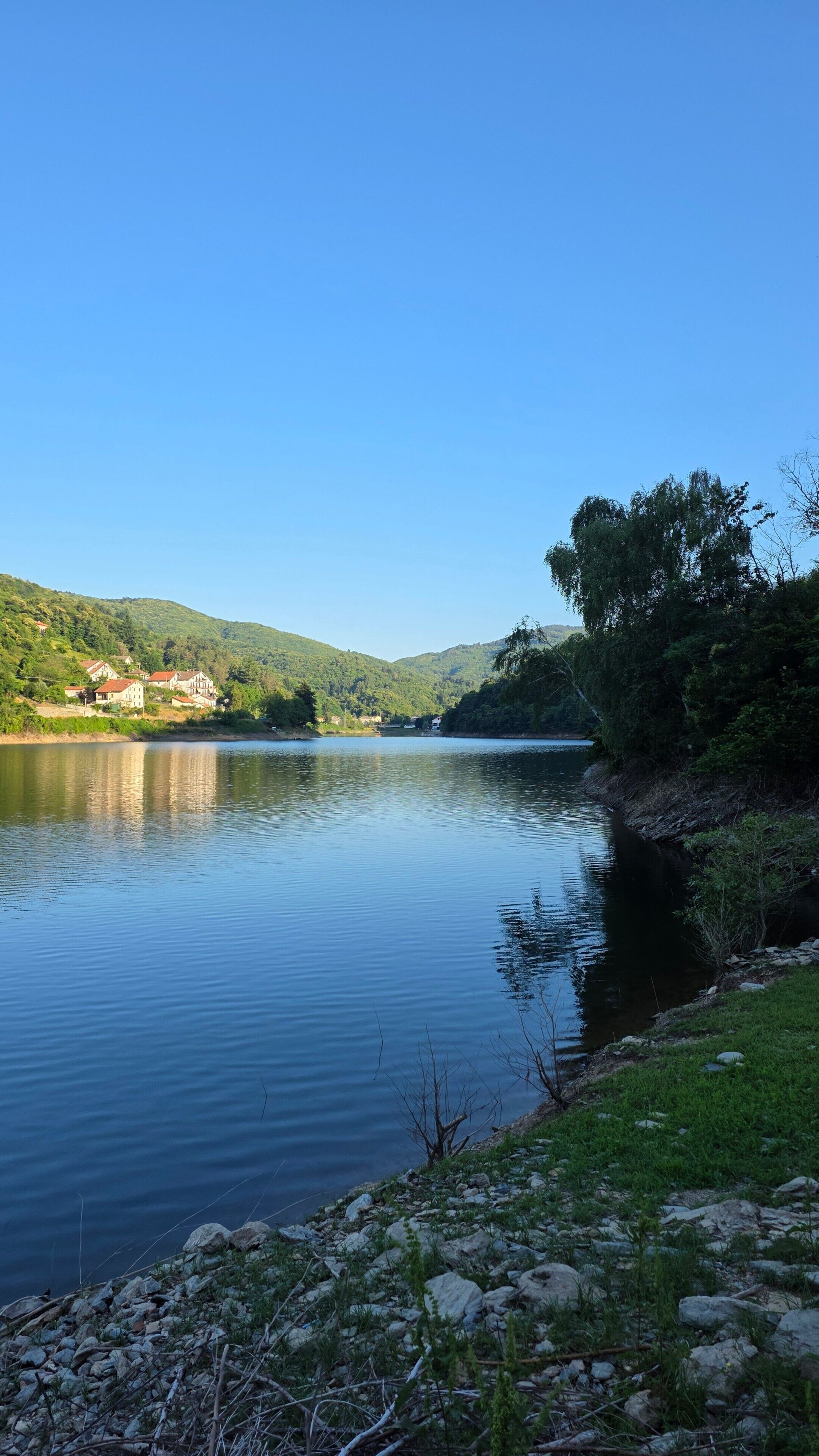 Ein ruhiger See mit Uferwiese und einem Hügel im Hintergrund.