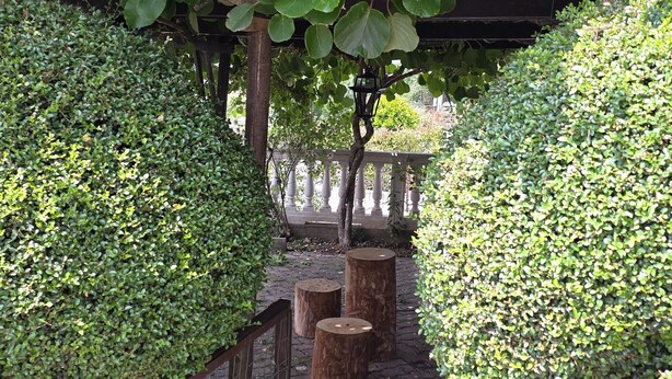 A garden pathway with trimmed hedges, a wooden fence, and a stone lantern.