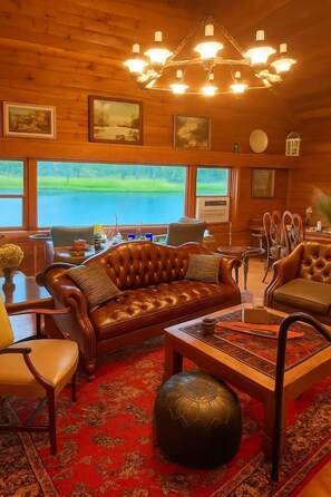 Älytelevisio, takka, kirjoja, videokirjasto