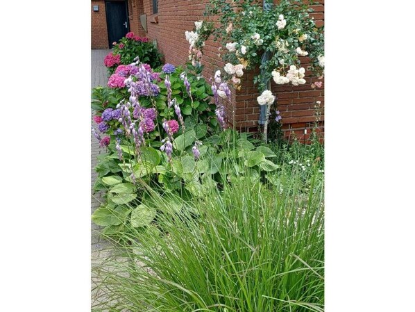 Apartment | Exterior detail