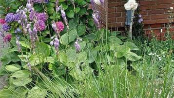 Apartment | Außendetails