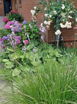 Apartment | Exterior detail - Stylish Apartment in the North Sea Wind (Heide)