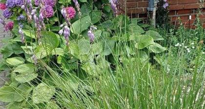 Stylish Apartment in the North Sea Wind