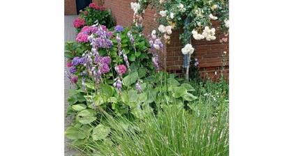 Stylish Apartment in the North Sea Wind