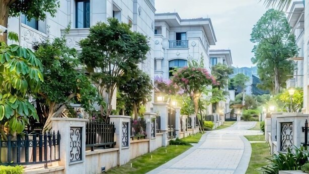 Ένας οικιστικός δρόμος με σπίτια, ένα πλακόστρωτο πεζοδρόμιο και πράσινο.