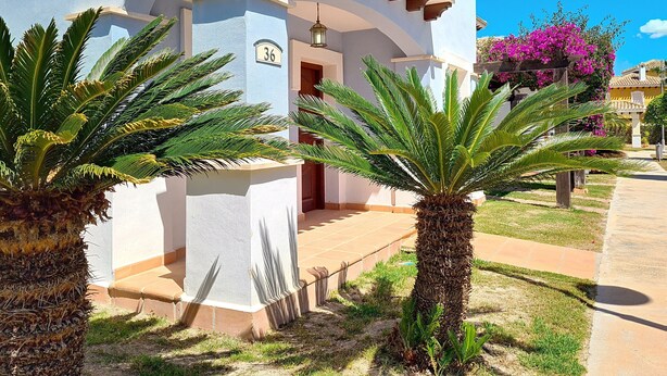 Um edifício com fachada azul clara, uma varanda com guarda-corpo e uma porta. Há palmeiras em primeiro plano e uma planta florida roxa ao fundo.
