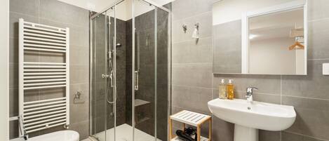 Shower, hair dryer, towels
