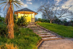 Property grounds - Countryside Retreat with On-site Horse Experiences (Auckland East)