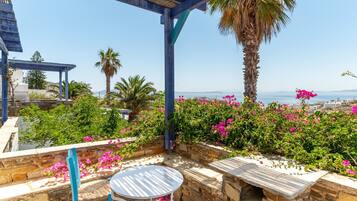 テラス / パティオ