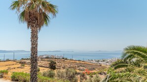 A coastal landscape with a palm tree, dry vegetation, and a distant view of the sea and buildings. - Apartment 'Unit 2' with Sea View, Wi-Fi and Air Conditioning (Tinos)