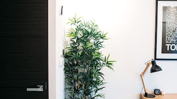 Studio, niet-roken | Woonruimte