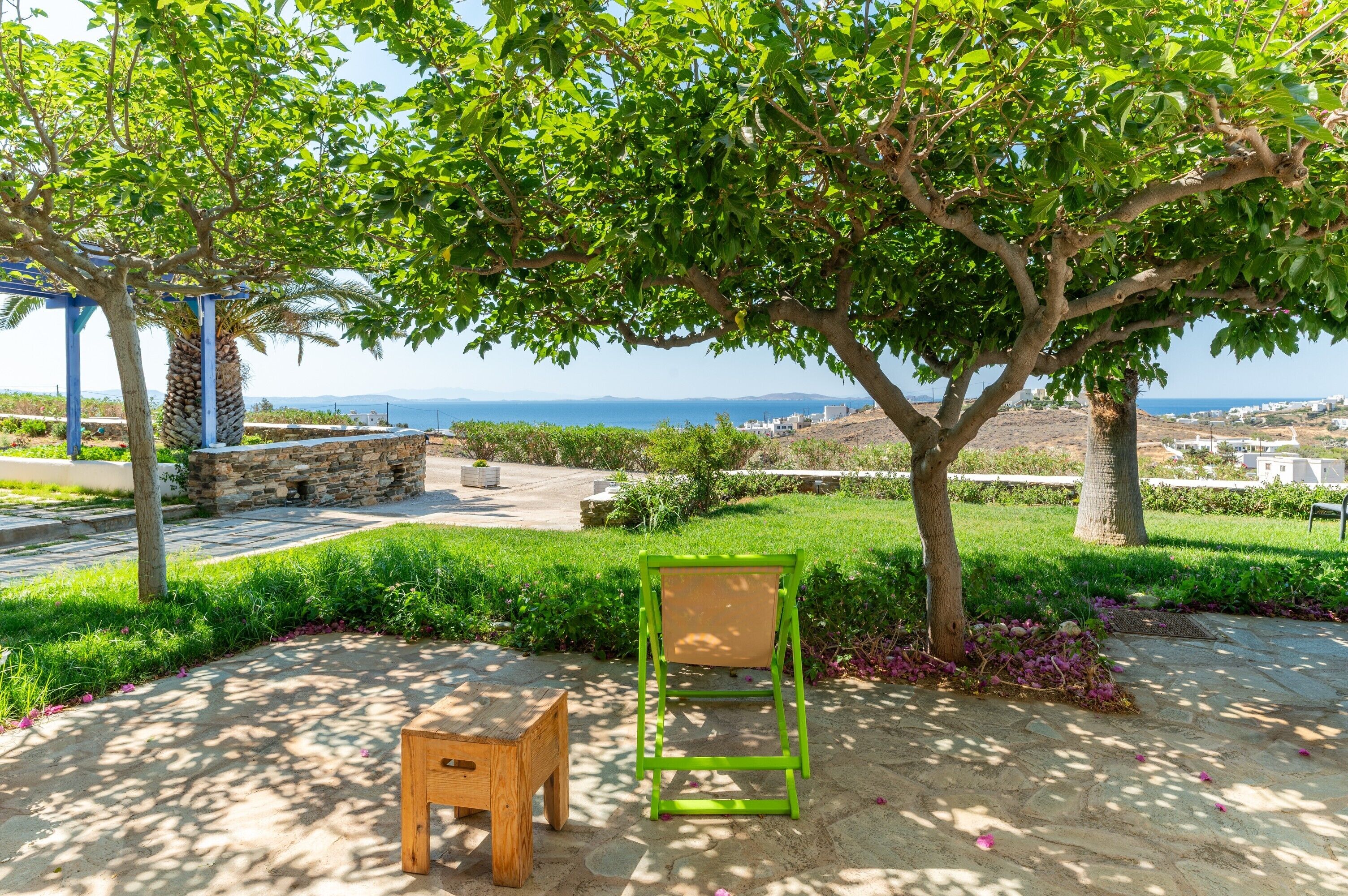 テラス / パティオ