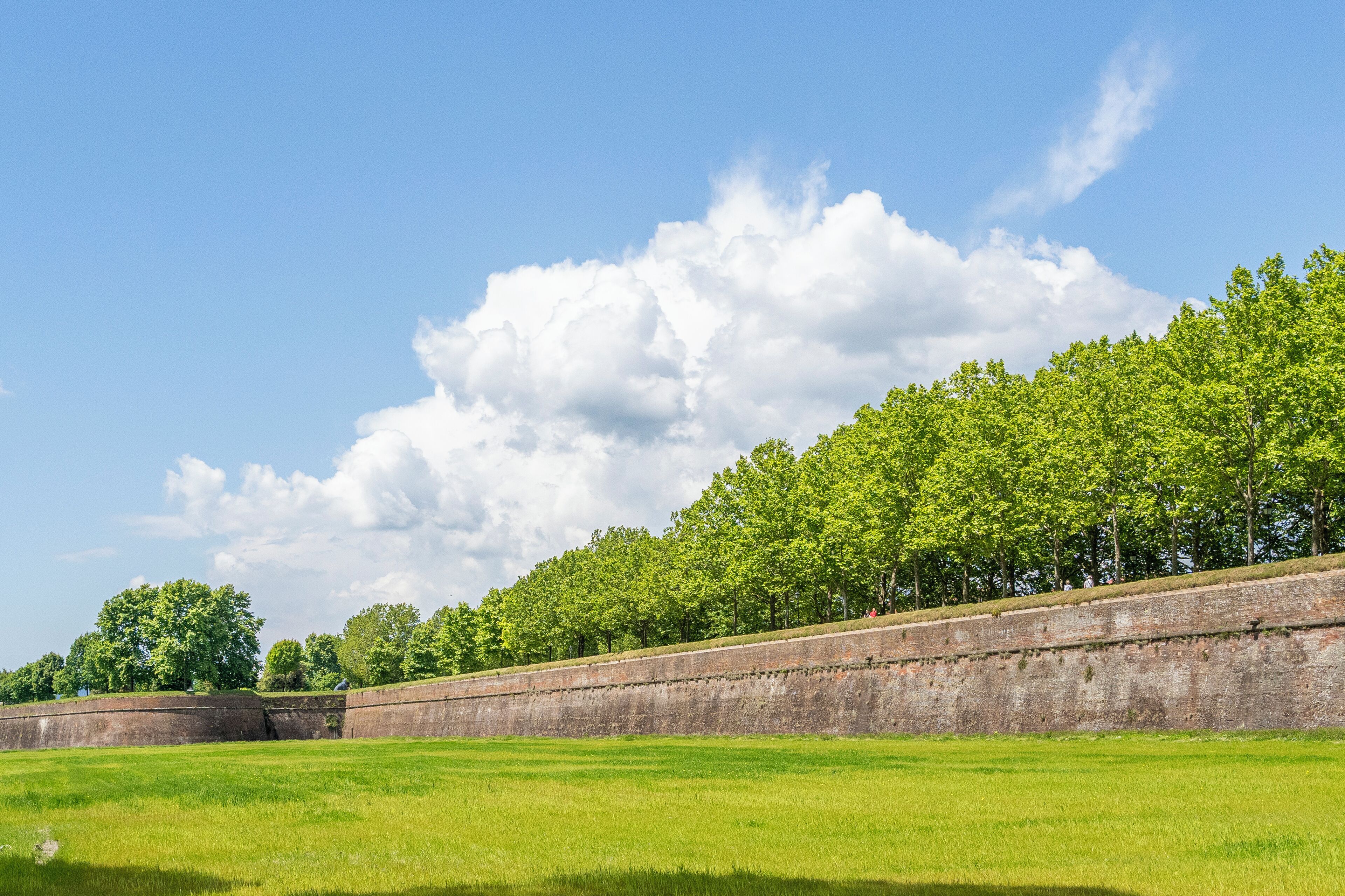 A grassy field with a brick wall and trees in the background.