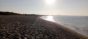Nära stranden