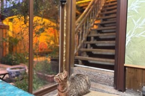 Unclassified image, 2 of 11, button - Wu Suo · Li Ziyuan (Lijiang Old Town Mufu Hotel) (Lijiang)