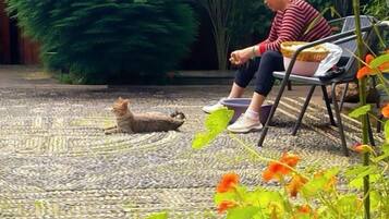 Uma pessoa sentada em uma cadeira em um jardim, com um gato deitado no chão.
