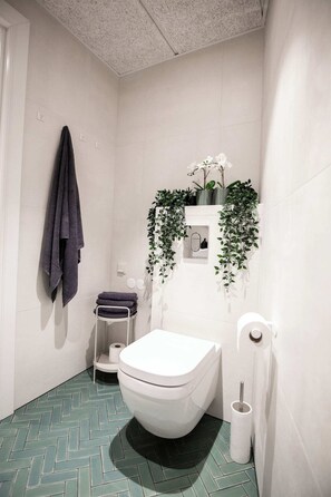 Douche, sèche-cheveux, serviettes fournies, savon