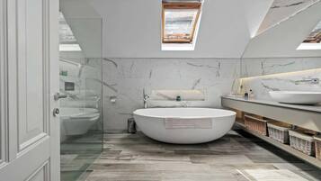 Shower, hair dryer, towels, shampoo