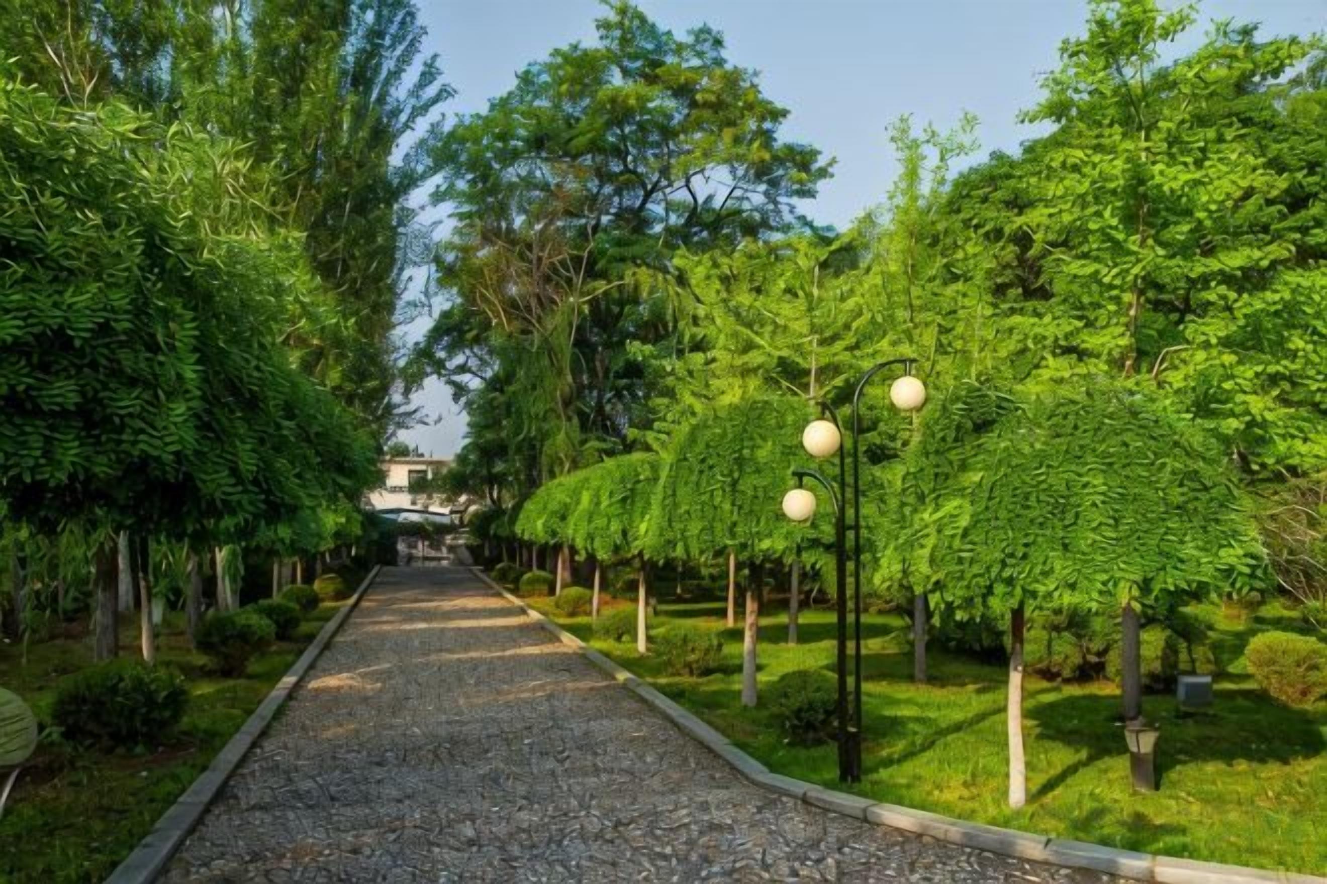 Un sendero bordeado de árboles y faroles que conduce hacia un edificio a lo lejos.