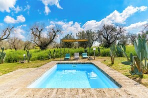 Seasonal outdoor pool, sun loungers