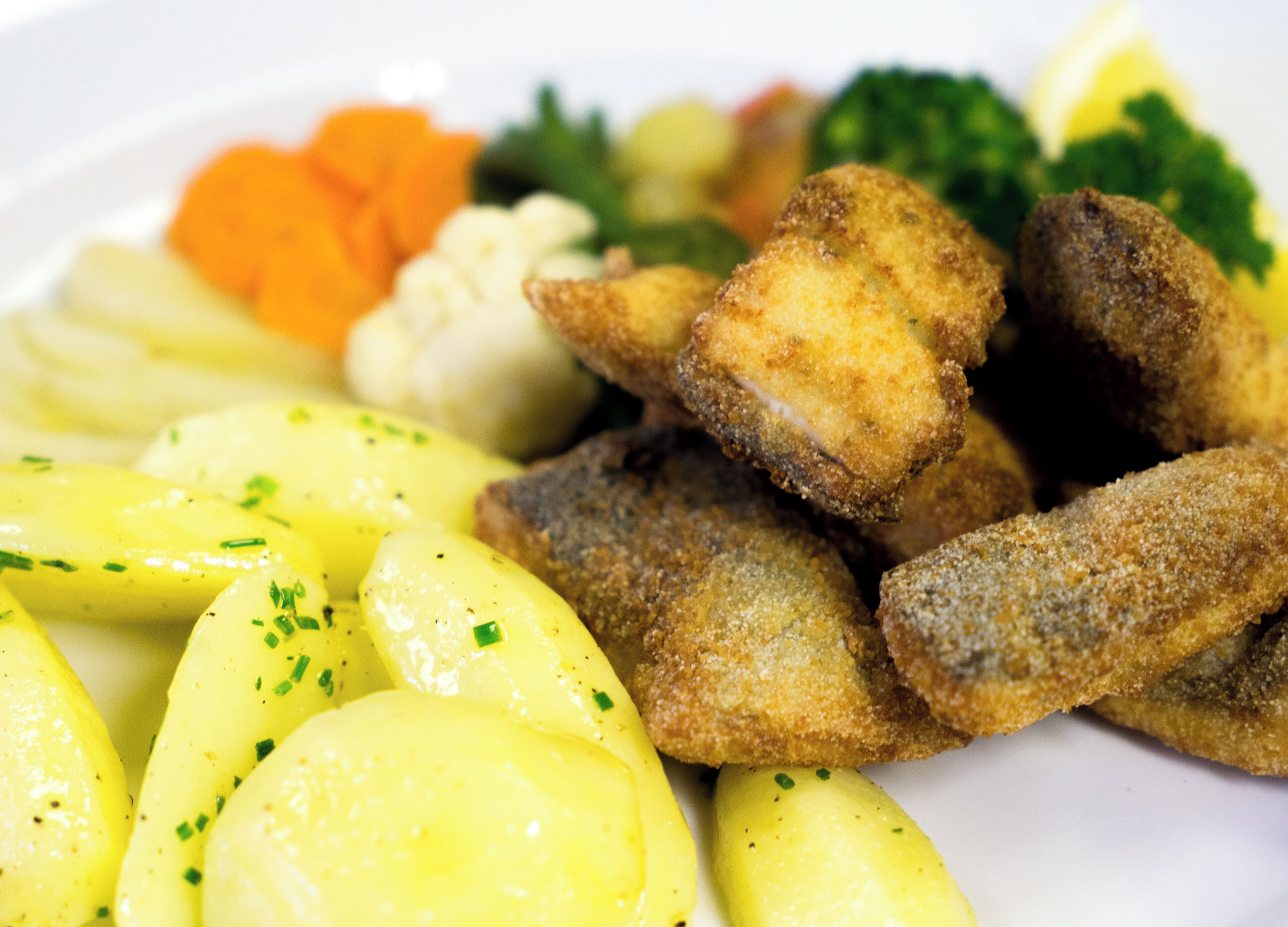 Ein Teller mit paniertem Fisch, gekochten Kartoffeln, Karotten, Blumenkohl und Brokkoli.