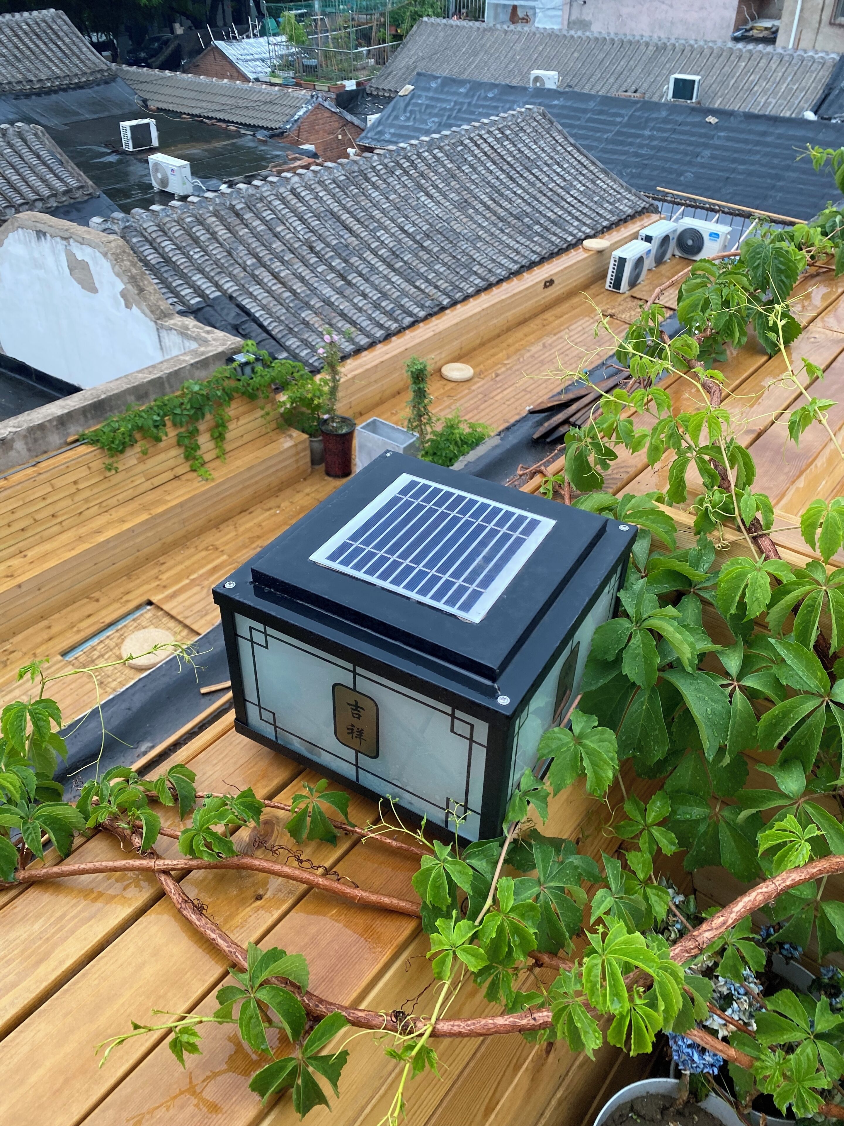 Comfort Double or Twin Room | Terrace/patio