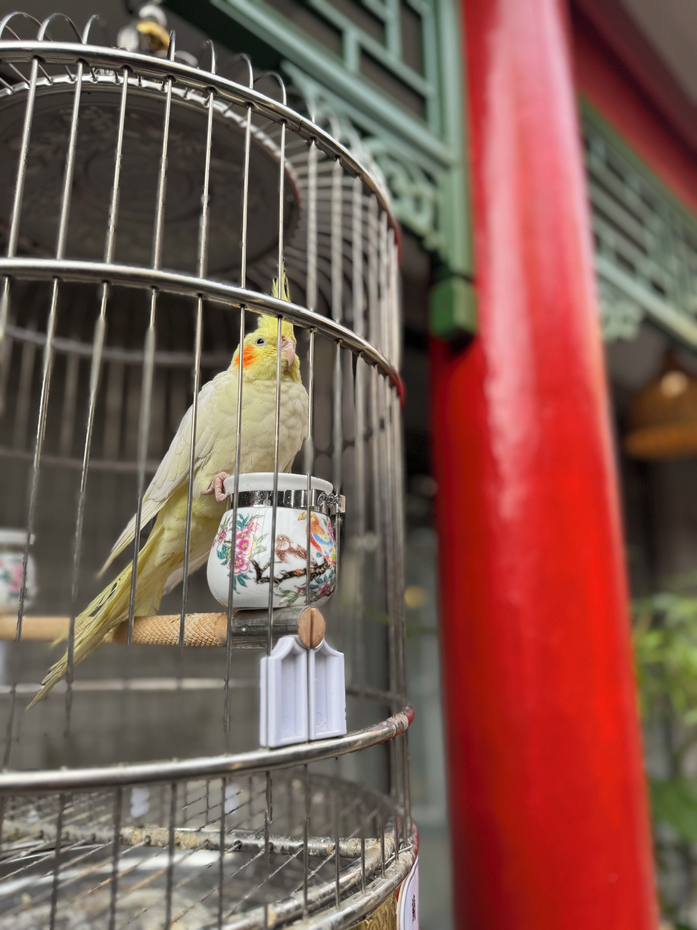 Foto - Forbidden City Hutong Courtyard