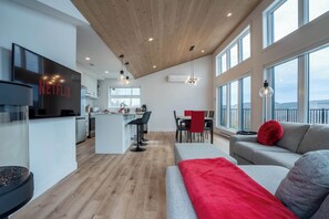 TV, fireplace, stereo