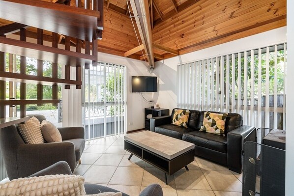 TV, fireplace, books