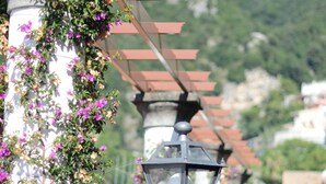 Un jardin agrémenté d’une pergola, de plantes fleuries et d’une rangée de lampadaires.