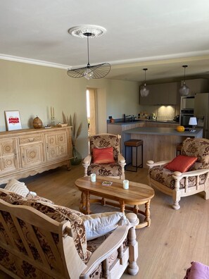 TV, fireplace, books