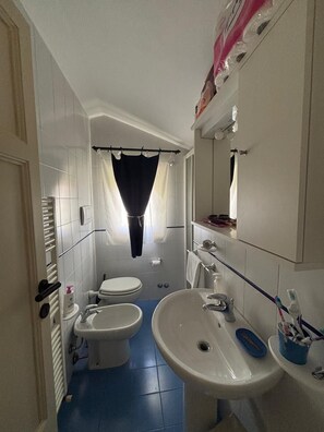 Dusche, Haartrockner, Bidet, Handtücher