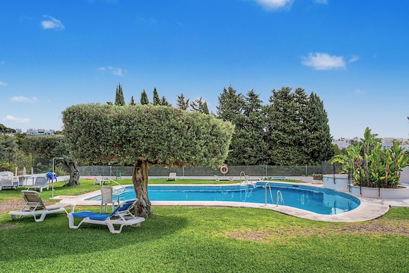 A swimming pool with a surrounding grassy area, lounge chairs, and a neatly trimmed hedge.