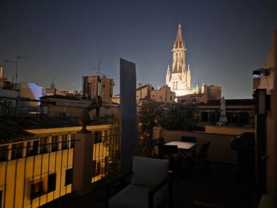 Spectacular rooftop with cathedral views and BBQ