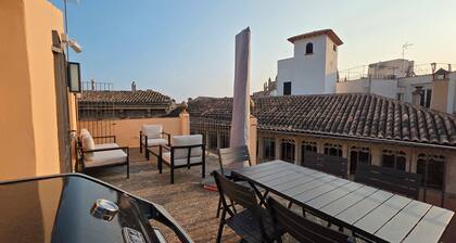 Spectacular rooftop with cathedral views and BBQ