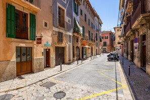 Exterior - Spectacular rooftop with cathedral views and BBQ (Palma)