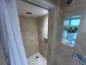 Shower, hair dryer